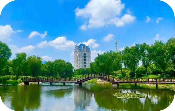 公司动态——解决方案